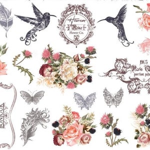Jardin D&#39;Oiseaux - Hokus Pokus Transfer