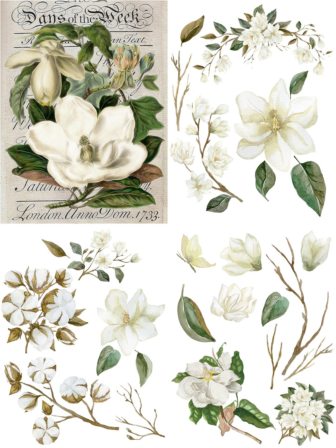 Magnolia Garden Transfer From the Belles and Whistles Line by Etsy