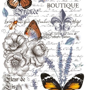 Papillon Hokus Pokus Transfer, Furniture Transfer, Decor Transfer, Art Transfer   RETIRED   RETIRED   RETIRED