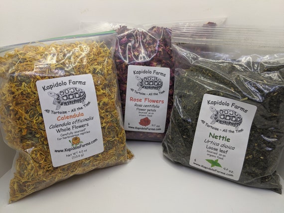 Three colorful organic sourced diet items for Tortoises and plant eating lizards.