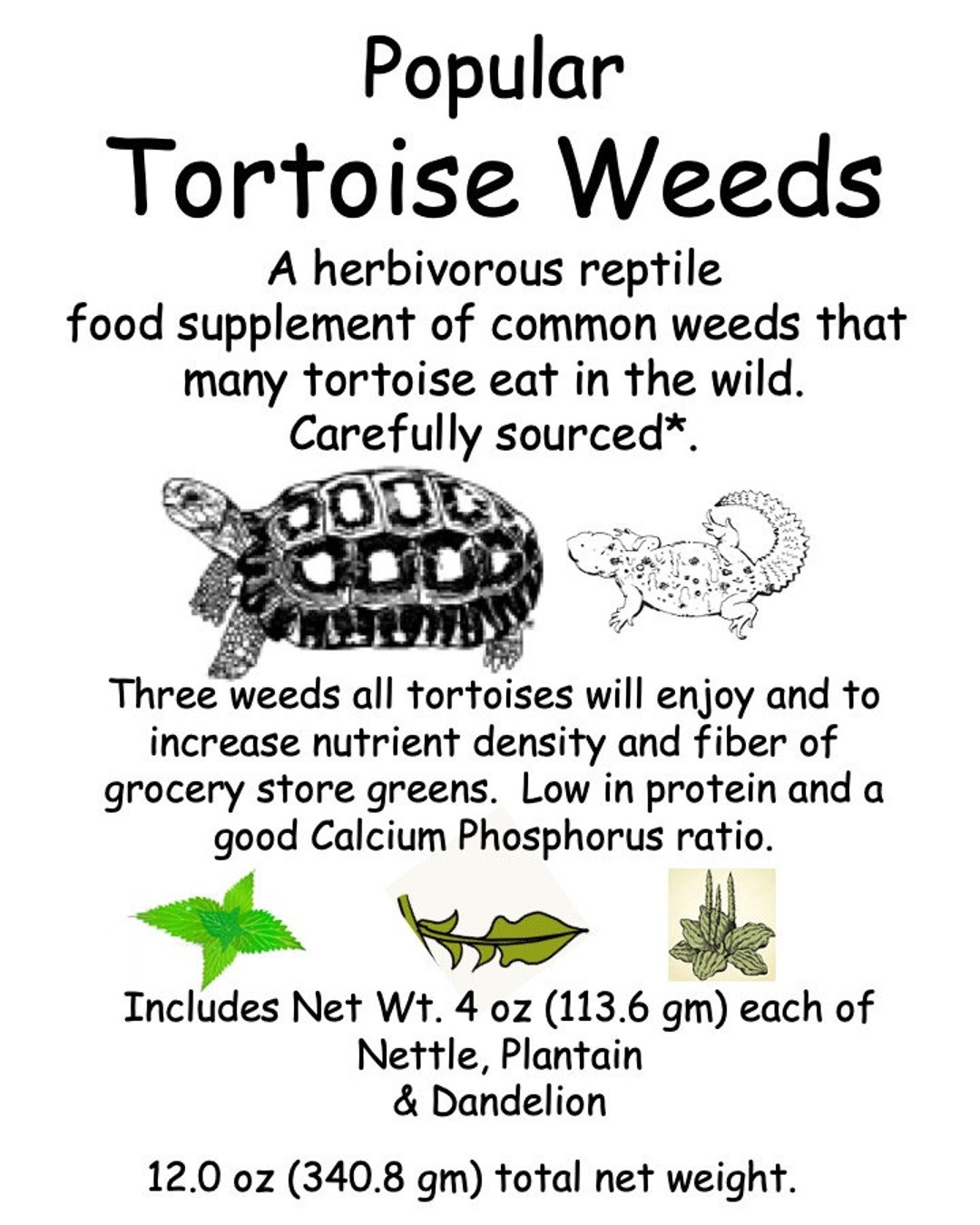 Tortoise Weeds Organic Sourced Common Weeds. Etsy