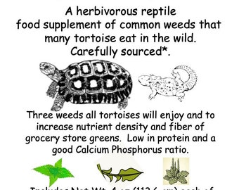 Tortoise Weeds - organic sourced common weeds.
