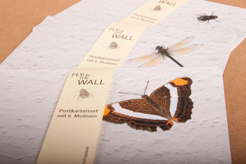 Fly Postcard Postcard Set -