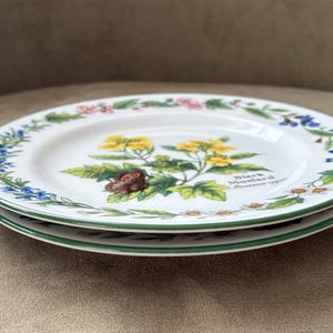 Peut inclure: Deux assiettes en céramique blanche empilées, avec un motif floral. Les assiettes ont un bord vert et une illustration botanique de fleurs jaunes et de feuilles vertes. Le texte sur l'assiette indique "Black Mustard Brassica nigra".
