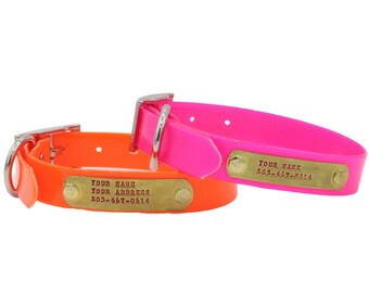 hunting dog collars