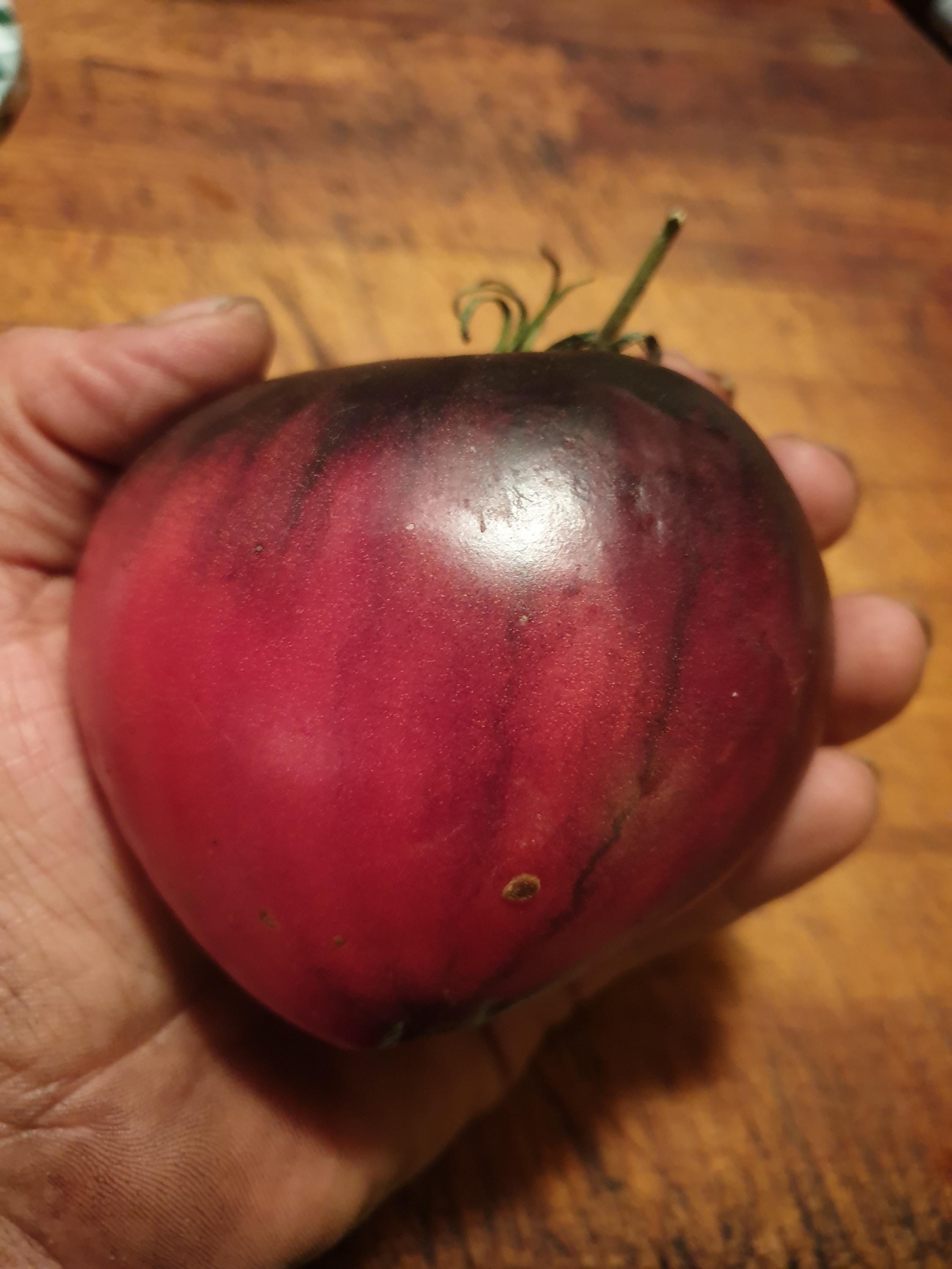 Amela tomate samen - Etsy sterreich