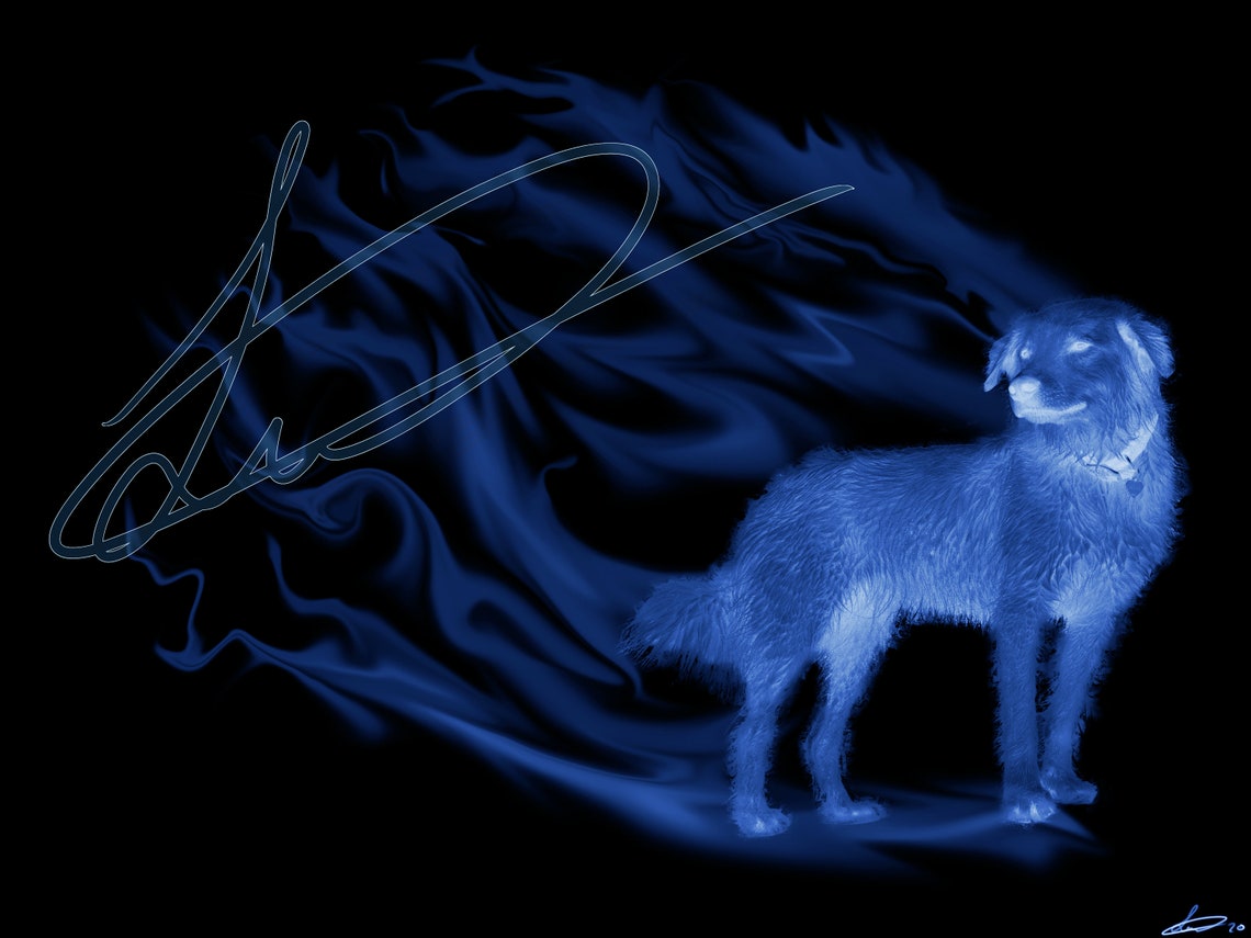 Dog Patronus Etsy