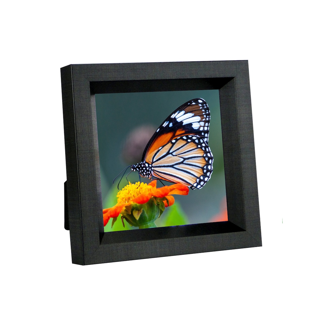 5x5 Photo Frame, 5 X 5 Inch Square Brushed Black Picture Frame