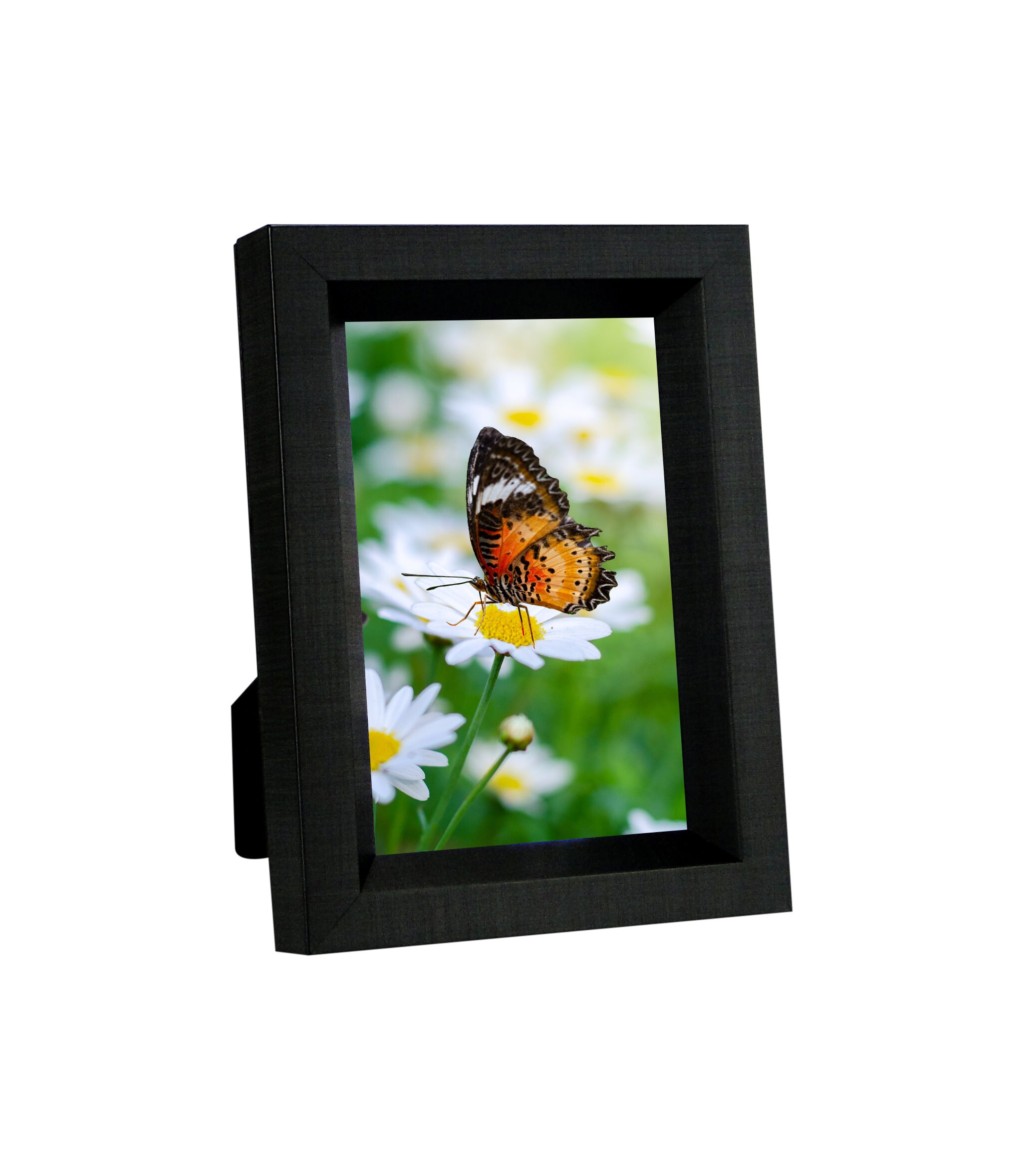 4 x 6 Picture Frame additional sizes tabletop wall display for photos