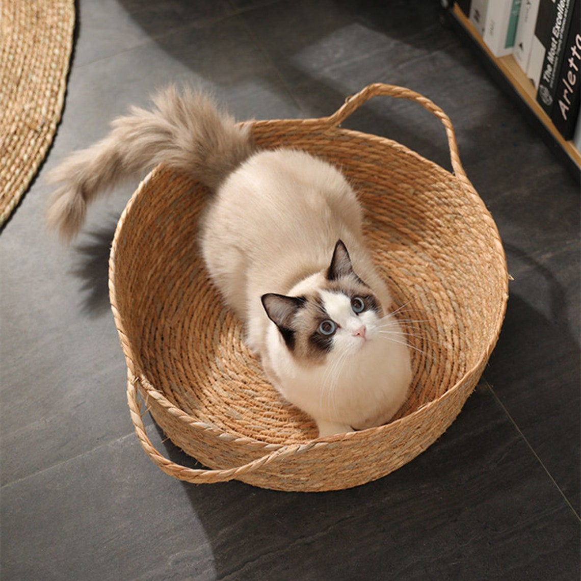 Handwoven Rattan Cat Nest Summer Nest Cat Scratching Board Etsy