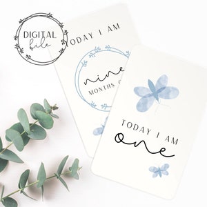 Blue Butterfly Baby Milestone Cards - TÉLÉCHARGEMENT NUMÉRIQUE, Souvenir de bébé, Cadeau de baby shower, Ma première année, Nouvelle maman, Accessoire photo instantané pour bébé