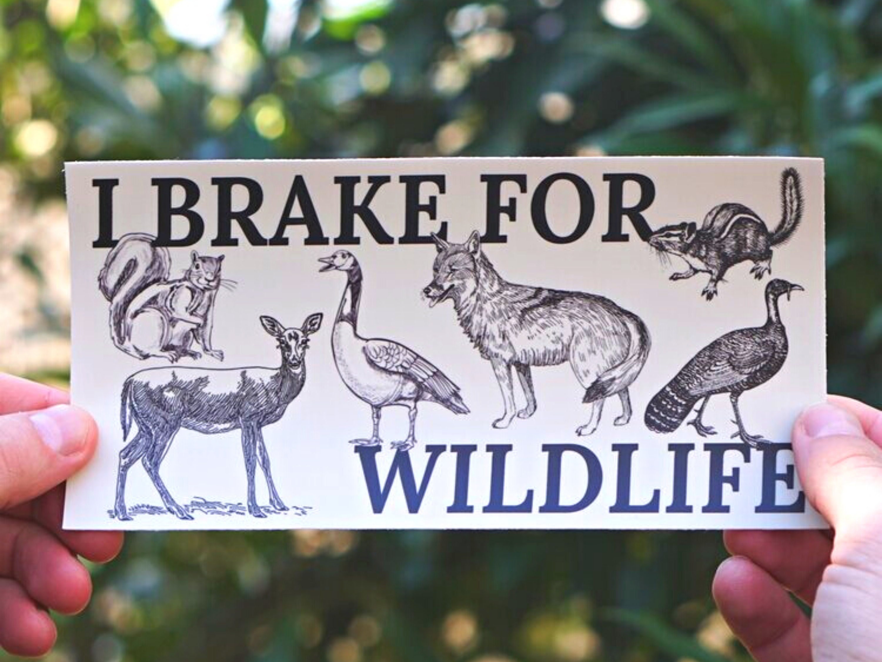 I Brake for Wildlife Bumper Sticker - The perfect car decal for wildl…