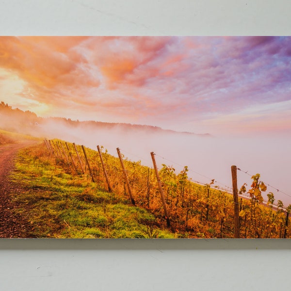 Götterdämmerung - Sonnenaufgang im Nebel in den Weinbergen