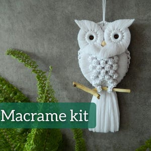 Peut inclure: Kit de macramé mural en forme de hibou blanc. Le hibou est réalisé avec un cordon blanc et a une branche en bois pour se percher. Le kit comprend tous les matériaux nécessaires à la réalisation du hibou.