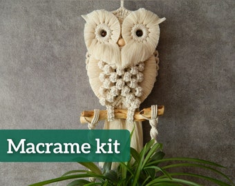 DIY kit, Macrame plant hanger kit, Macrame owl wall hanging + plant holder, Planter, Craft kit for adults, Beginner friendly, Gift for mom
