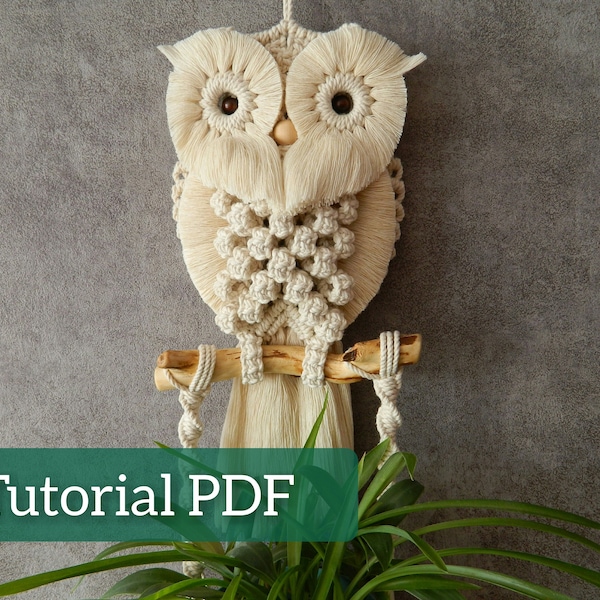 DIY macrame plant holder tutorial, Macrame wall hanging pattern, Succulent wall planter, Macrame owl instructions, Nature inspired art