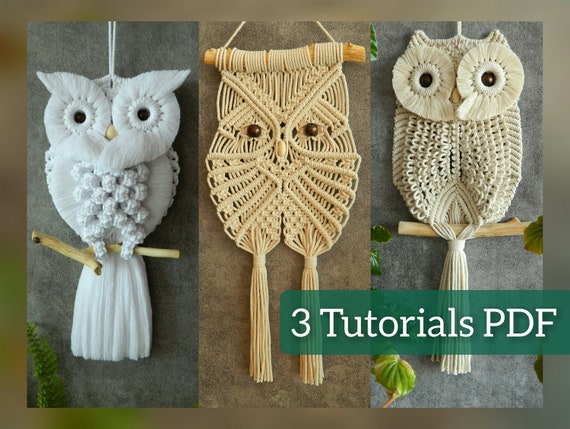 Macrame Kits for Adults Beginners, 2 in 1 Circle+Owl Macrame Kit, Includes  Macrame Cord and Instruction with Video, Macrame Wall Hanging Supplies