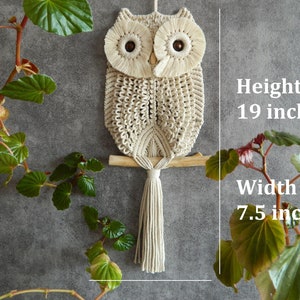 DIY set of 3 easy owl tutorials, Macrame wall hanging patterns for beginners, Cute owlet pattern, Hand woven bird tapestry, Beginner pattern image 3
