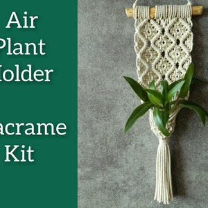 DIY macrame KIT | Easy simple air plant hanger kit for beginners | Macrame instructions, Small plant holder, Gifts for plant lover