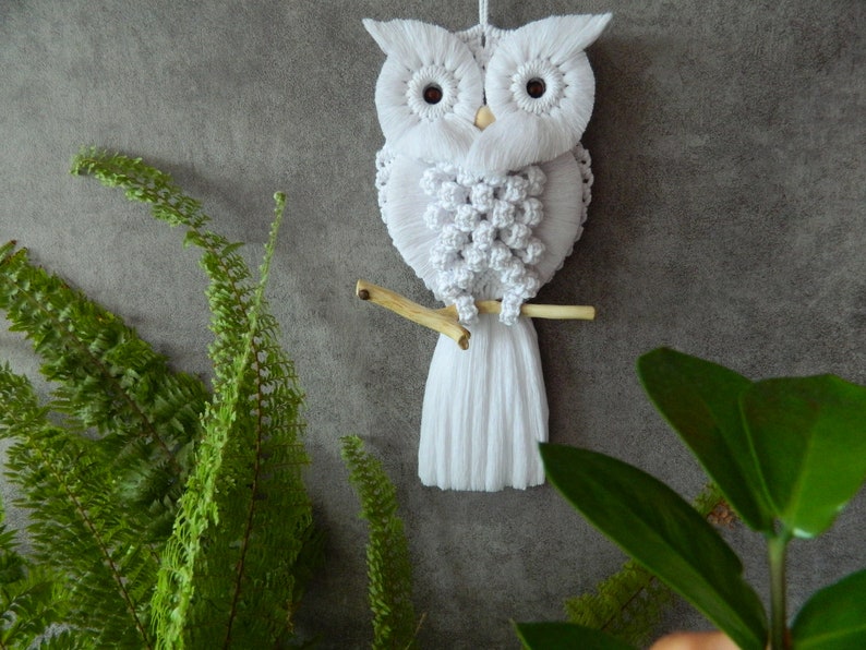 DIY kits, Macrame owl kit beginner, Macrame wall hanging craft kit for adults and kids, Boho wall art, Gifts for mom, Thank you gift image 6