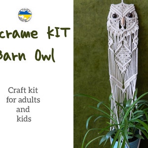 May include: Macrame KIT Barn Owl craft kit for adults and kids. A white macrame owl hanging on a green wall with a plant in a blue pot.