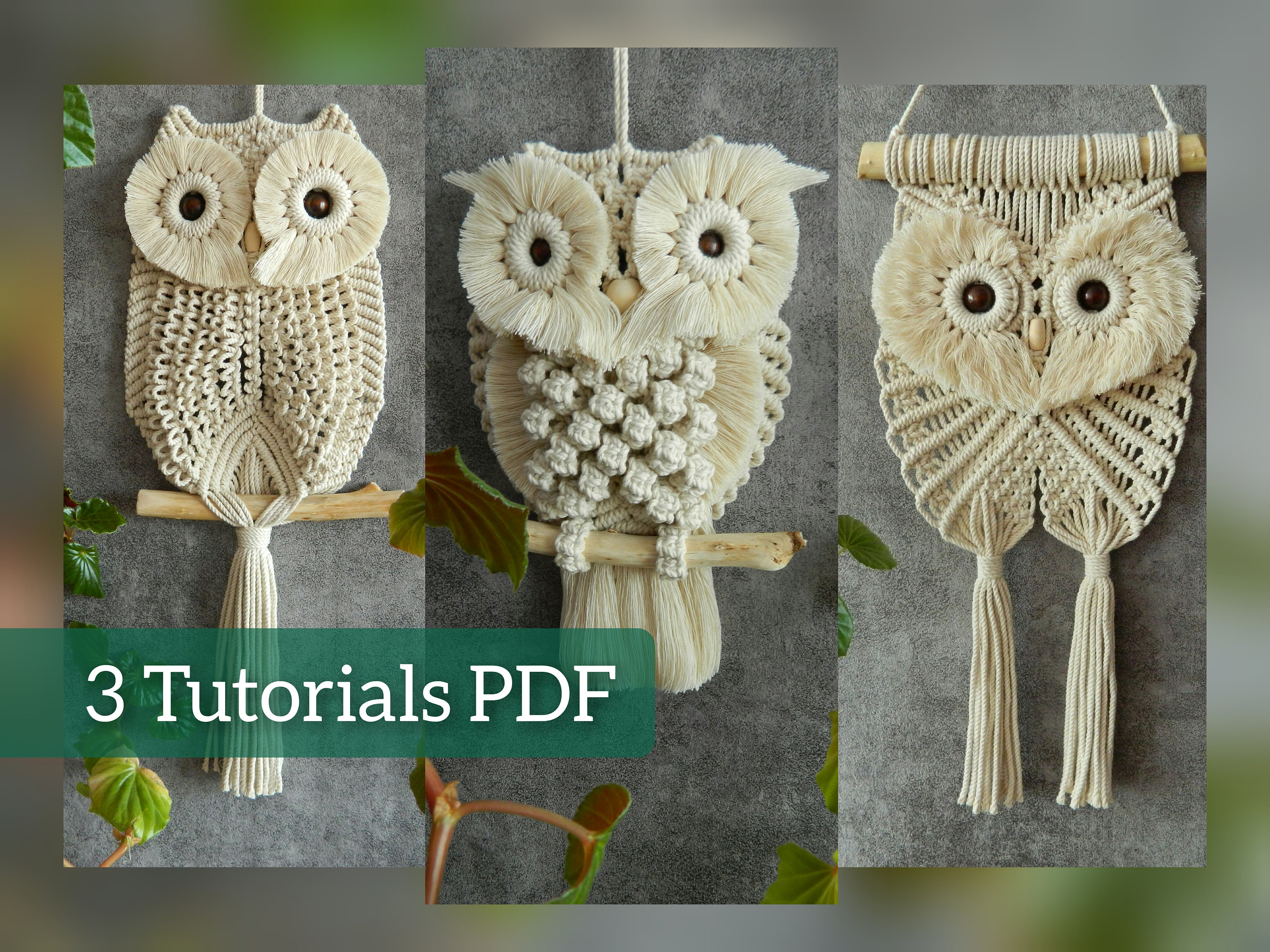 DIY Set of 3 Easy Owl Tutorials Macrame Wall Hanging Patterns - Etsy Canada