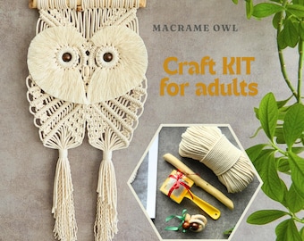 Macrame owl wall hanging kit, Craft kit for beginners, Do it yourself textured tapestry