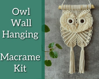 DIY kits, Macrame owl wall hanging kit, Adult craft kits for beginners, Wall tapestry, Trendy wall art, Boho room decor