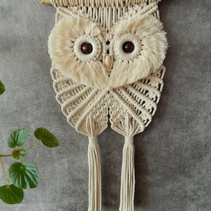 Set fai da te di 2 modelli da appendere alla parete di un gufo, tutorial sul gufo Macrame, simpatico arazzo con uccelli intrecciati a mano, istruzioni Macrame, motivo da parete Boho immagine 5