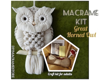 Macrame owl kit | Beginner friendly adult craft set, Do it yourself wall hanging