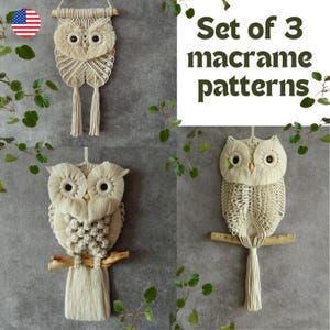 DIY set of 3 easy owl tutorials, Macrame wall hanging patterns for beginners, Cute owlet pattern, Hand woven bird tapestry, Beginner pattern