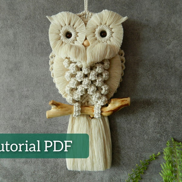 Patrón para colgar en la pared de Macrame, Tutorial de búho de Macrame para principiantes, DIY lindo pájaro tejido a mano, Patrones hechos a mano, Regalo de Navidad Hágalo usted mismo