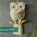 see more listings in the Macrame pattern section