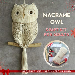 May include: Macrame Owl Craft Kit for Adults. A beige macrame owl wall hanging with a wooden branch. The kit includes beige cord, wooden beads, a wooden dowel, and instructions. Designed with beginners in mind.