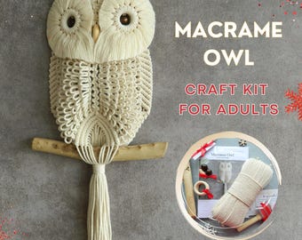 Macrame owl kit, Craft set for adults, Do it yourself wall hanging, Apartment decor