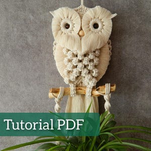 Do It Yourself, Macrame plant holder tutorial, Macrame wall hanging pattern, Succulent wall planter, Macrame owl instructions, Boho wall art