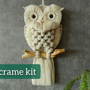 DIY kits, Macrame owl kit beginner, Macrame wall hanging craft kit for adults and kids, Boho wall art, Gifts for mom, Thank you gift image 1