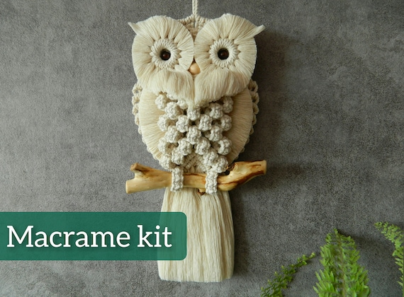 Do It Yourself Kits, Macrame Owl Kit Beginner, Macrame Wall Hanging Craft  Kit for Adults and Kids 