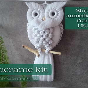 Handmade Owl | Macrame wall hanging kit | Easy simple DIY cotton owl for beginners | For owl lover | Housewarming gift