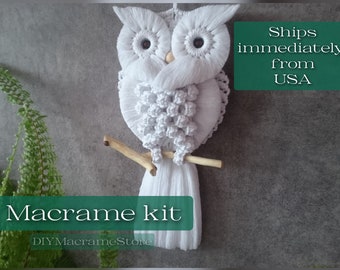 Handmade Owl | Macrame wall hanging kit | Easy simple DIY cotton owl for beginners | For owl lover | Housewarming gift