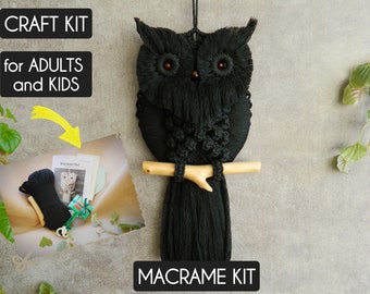 Macrame kit, Do it yourself black owl, Beginner-friendly craft set for adults, Gothic decor