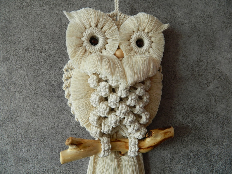 DIY kits, Macrame owl kit beginner, Macrame wall hanging craft kit for adults and kids, Boho wall art, Gifts for mom, Thank you gift image 4