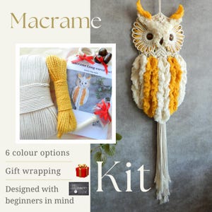 May include: Macrame owl wall hanging kit with yarn, instructions, and a beginner's guide.  The kit includes six color options and gift wrapping is available.