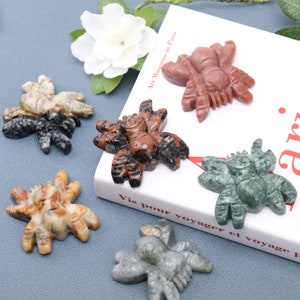 2 Zoll, Spinne Edelsteine Figur, Kristall Wohnkultur, Kristall Geschenke, geschnitzte Kristall Statue, Tier Edelstein, Labradorit, roter Obsidian.