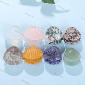 May include: Eight small seashell-shaped crystal carvings in various colours, including clear, pink, green, blue, grey, and yellow. The shells are arranged in two rows on a light blue surface.