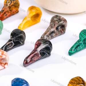 Echte edelsteenkraaischedel, kristallen vogelschedel, zwarte agaat Vogel macabere gotische nieuwsgierigheid Wicca kunstnijverheid rare eigenaardigheden, decor vogelschedel.