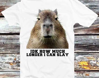 Idk How Much Longer I Can Slay Capybara Sarcastic Dank Meme T Shirt Vintage Retro Cool Gift Unisex Cartoon Anime Top Tee B798
