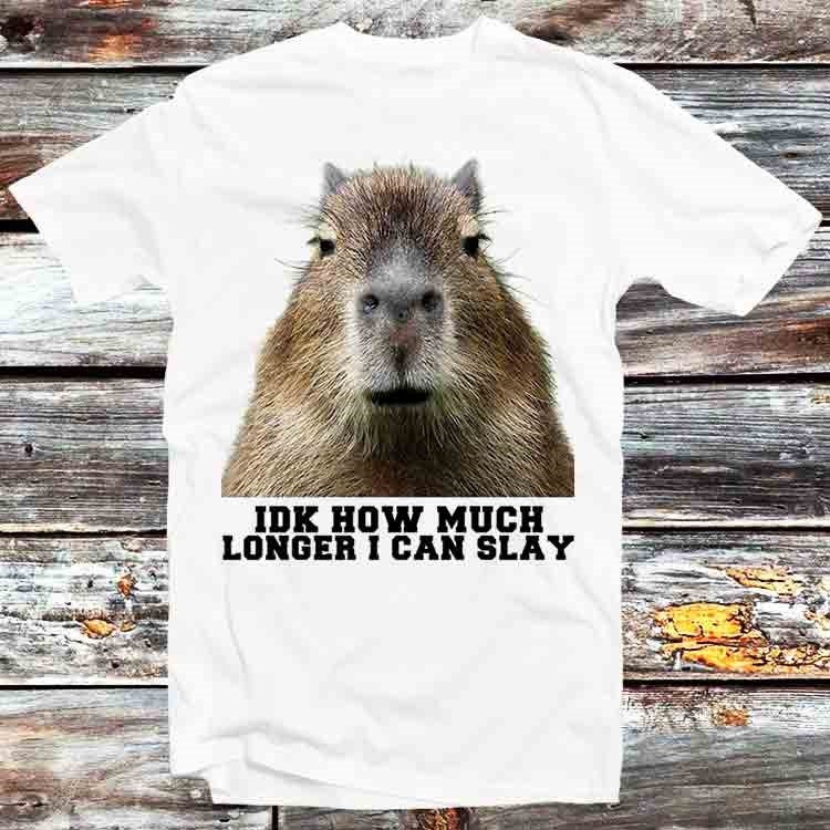 Discover Idk How Much Longer I Can Slay Capybara Sarcastic Dank Meme T Shirt Vintage Retro Cool Gift