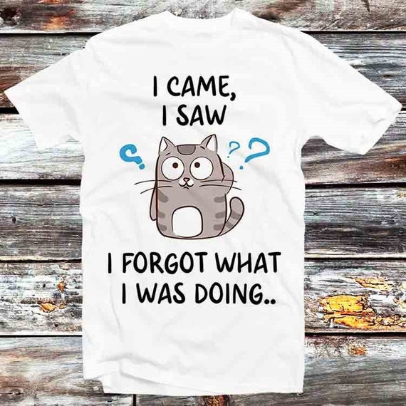I Came I Saw I Forgot What I Was Doing T-Shirt Great Gift I Came I Saw I Forgot What I Was Doing T-Shirt Great Gift
