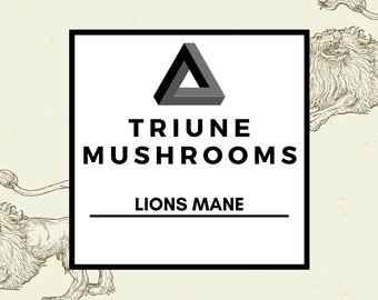 Lions Mane Mushrooms